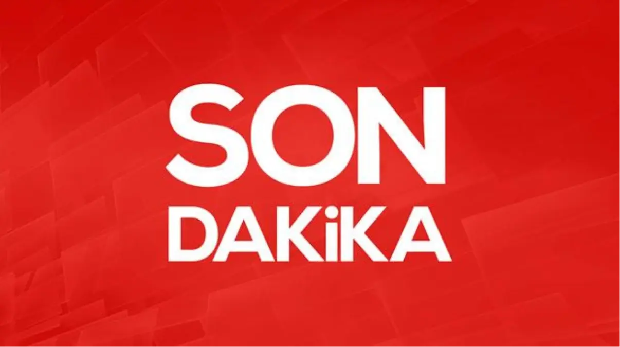 Beykoz’daki yangın sonrası valilik harekete geçti! 28 Ekim’e kadar hepsinin satışı yasak beykozdaki yangin sonrasi valilik harekete gecti 28 ekime kadar hepsinin satisi yasak e3cm6JdH