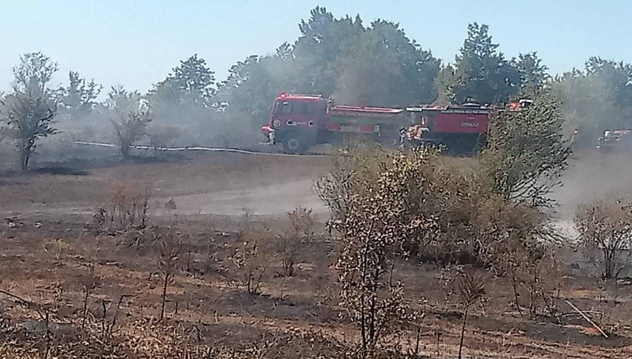 bilecikte arazi yangini YlwGNbyf