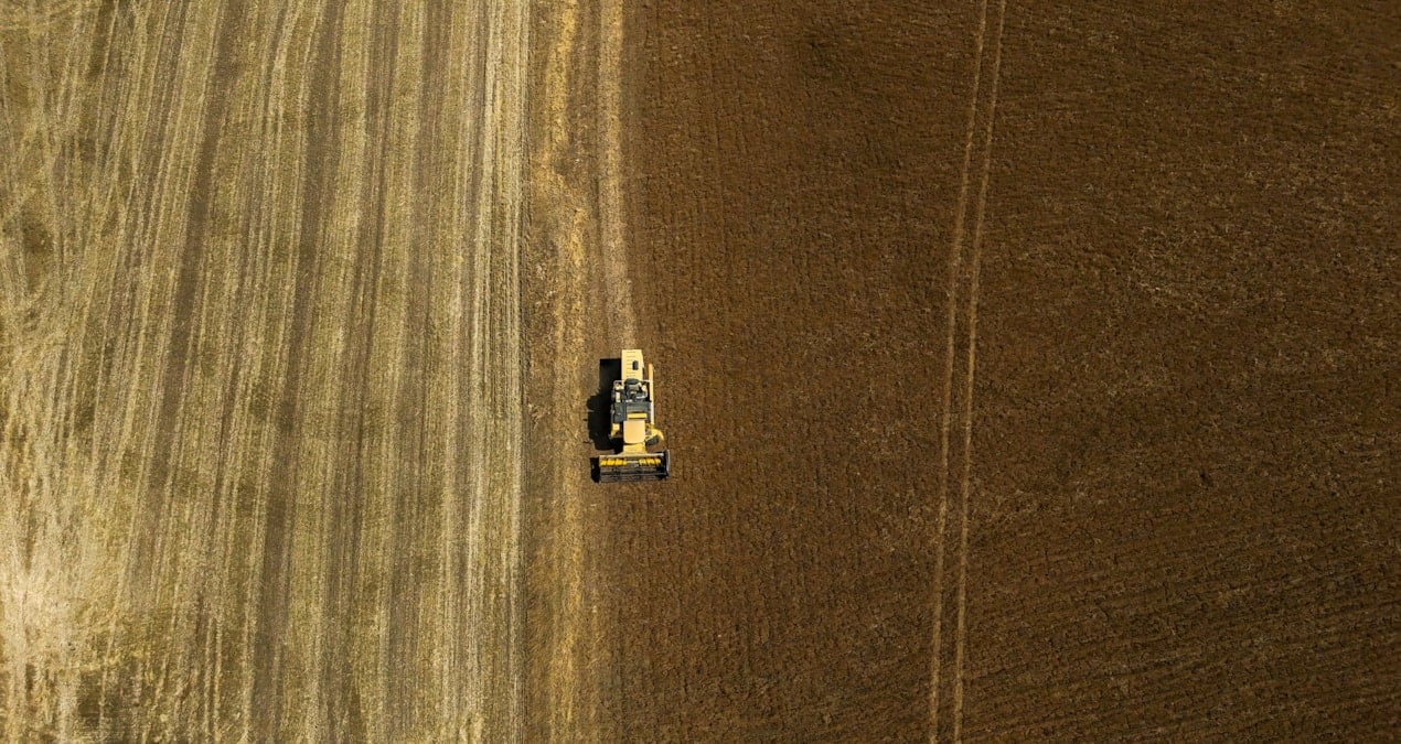 kurakliga dayanikli ciftciye kazandiran urun pWgTpD1f