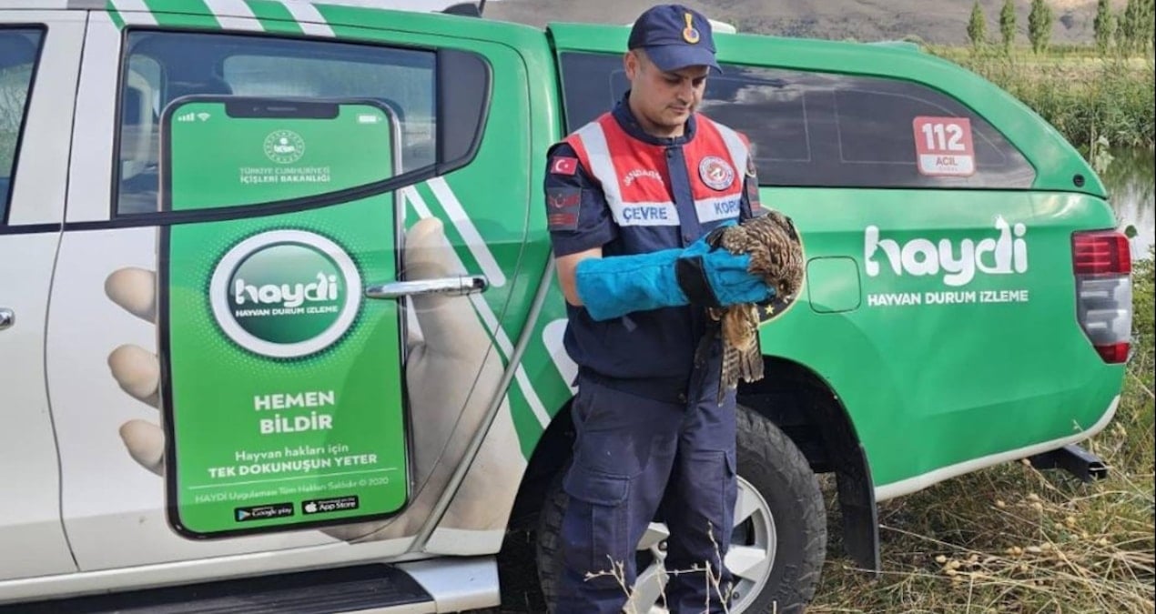 musta yarali kartal tedavi altina alindi Hef3VZxe