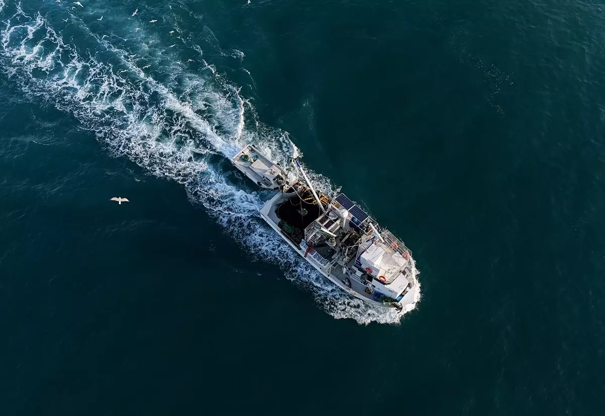 egeliler sardalya bereketiyle donuyor yTmCa4x2.jpg