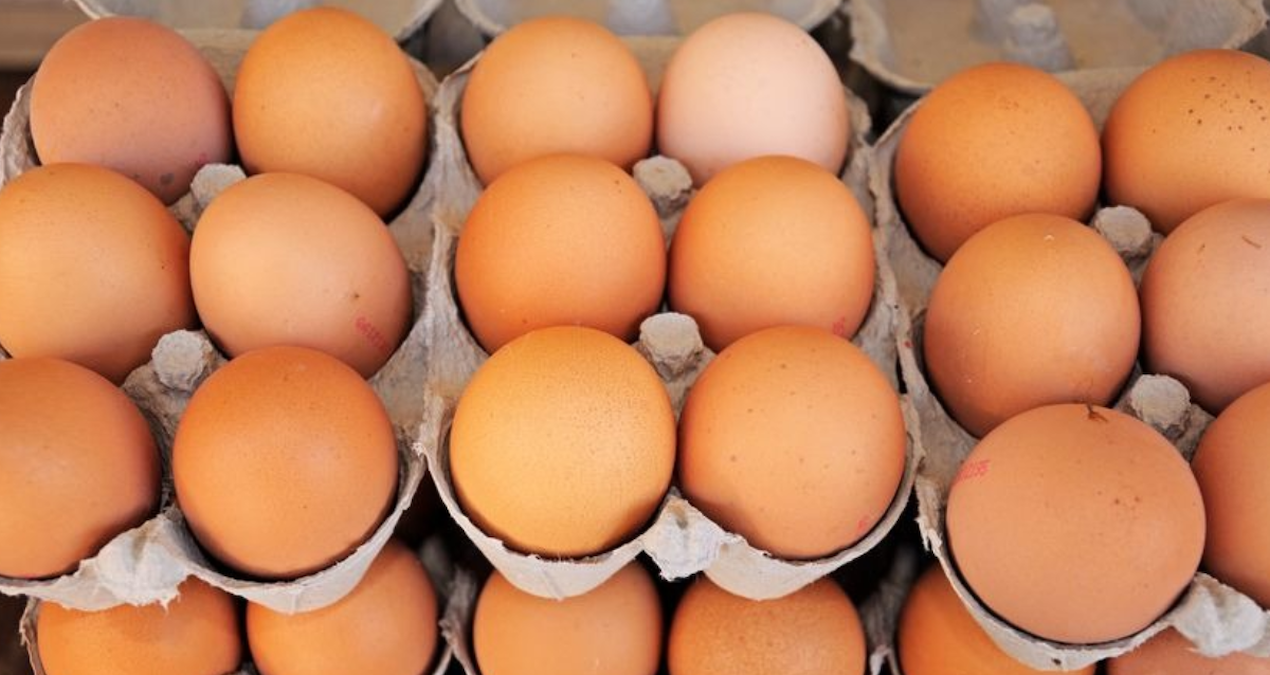 yumurta krizi kapida uretimde sert dusus ZBfEsX9Z.jpg