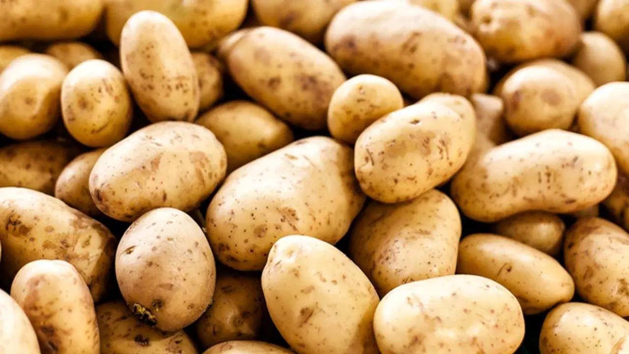 ticaret bakanligindan patates fiyati aciklamasi 9jhd5Kue.jpg