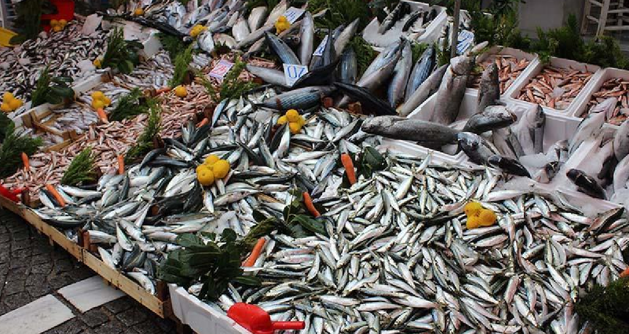 Kalkan Balığı: Türk Mutfağının Vazgeçilmezi Romanya ve Bulgaristan’da Yasak