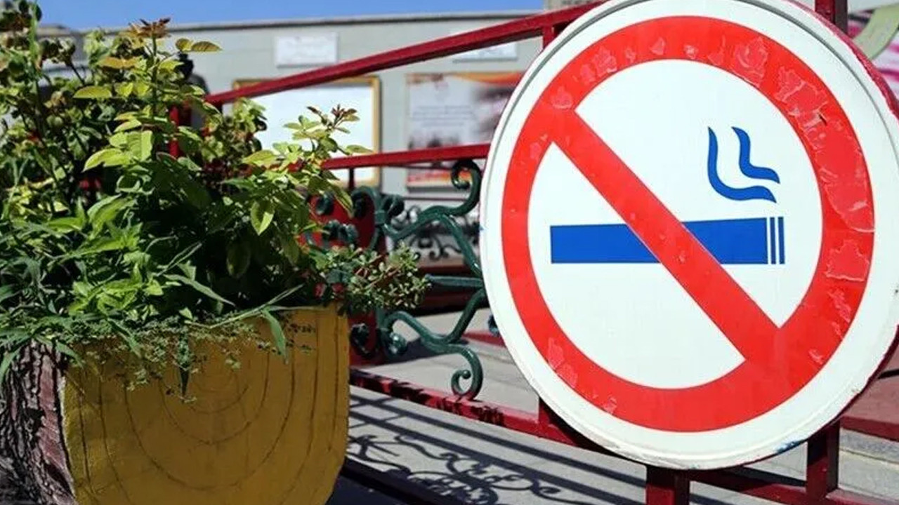 Saglik bakanligi tutun denetimleri rakamlarini acikladi tBpp9Rzj